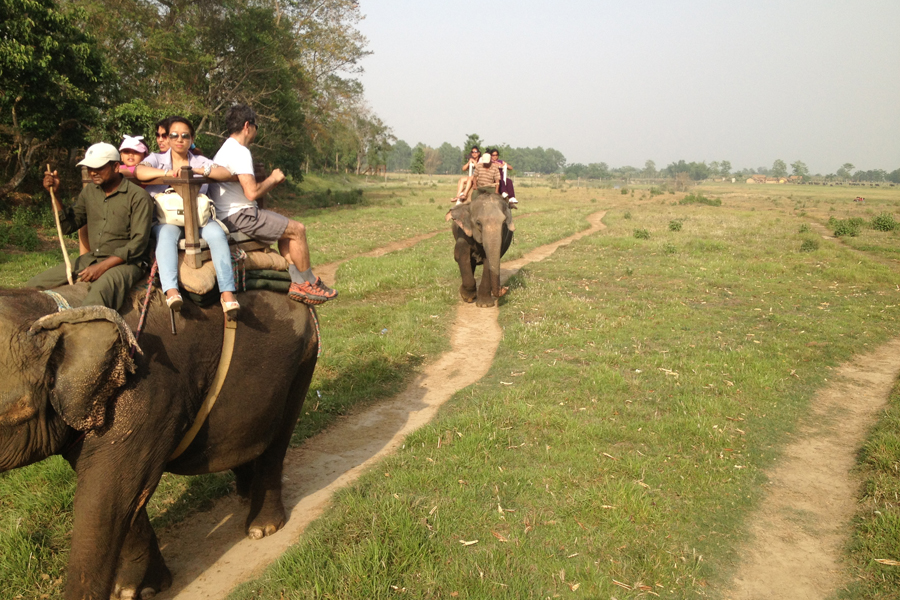 Chitwan Jungle Safari